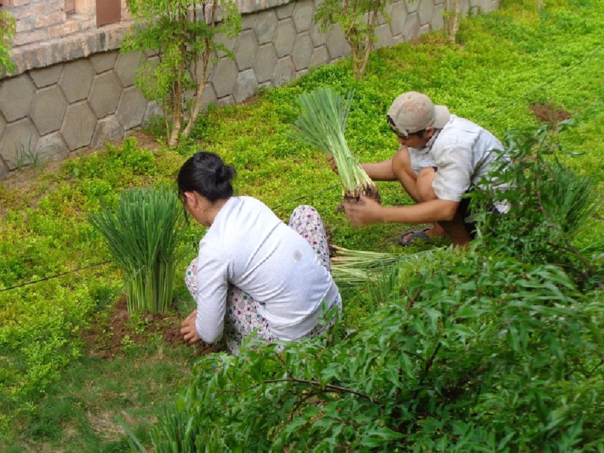 Gite Nam Hien Mekong Cho Lach Extérieur photo